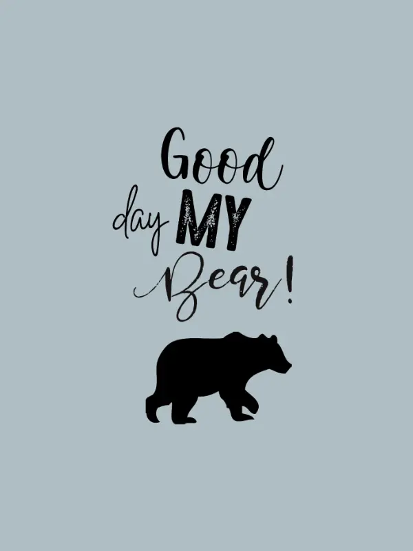 bear-hugs-company-webdesign-management-services-spolecnost-medvedi-good-day